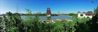 陆羽故园